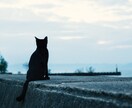 夜、寝る前の「おやすみなさい」を聞きます お気軽雑談♪モヤモヤ吐き出して目指せ快眠! イメージ7
