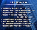 不動産投資の “最適解” がひと目でわかります 先着3名様までモニター価格1,000円にします。 イメージ2