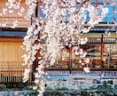 京都の四季の写真を提供します 京都の癒される四季折々の写真を！ イメージ4