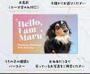 グラデーションカラーが可愛いペット名刺制作します 100枚印刷代込！送料無料！オフ会・イベントで大活躍！ イメージ9