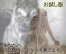 あなたの守護動物を教えます ガーディアンアニマルリーディング お試し版 イメージ1