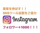 Instagramフォロワー+1000拡散します 集客に重要なSNS インスタグラムのページを宣伝、拡散します イメージ1