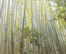 あなたの全体的な運勢、性格、得意分野。恋愛等します あなたの可能性に気付けるお手伝いをします。 イメージ1