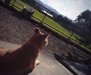 あなたの思い出の写真をより良いものにします 写真をもっと可愛くしたい！カッコ良くしたい！を叶えます。 イメージ1