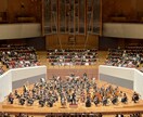 クラリネットのお悩み相談します ⭐︎楽器購入、リード、緊張、歯列矯正、気になること何でも⭐︎ イメージ4