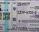 札幌記念穴狙い打ちます 札幌記念、一緒に勝負しませんか？ イメージ5
