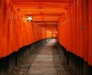 今、気になっていることを日本の神様カードで占います 日本の神様のお力を借りて、気持ちの整理のお手伝いをいたします イメージ4