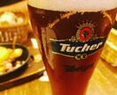 ビールで痩せたい方を21日間徹底サポートします ビールが大好きで、同時に痩せたいと心から望んでいる人へ イメージ9