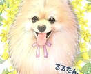 大切なペットの似顔絵を丁寧に描きます リアルにオシャレにペットを描きます イメージ1