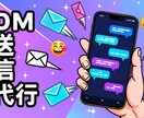InstagramのDM手動運用代行致します ターゲットを絞って効果的なSNS運用！ イメージ2