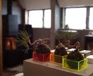 苔玉盆栽をつかった癒やし空間アドバイス致します ホテル･店舗等ディスプレイ提案＆オーダー制作インバウンド向け イメージ4