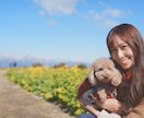 ペットとの思い出を残します ペットとあなたの思い出を写真としてそばに置きませんか？ イメージ3