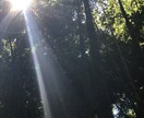 日頃のお悩みや愚痴など何でも聞きます 些細な悩みでも、とにかく自分の話を聞いてほしい方へ イメージ1