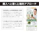 販促デザイン歴20年超のプロが集客LPを作成します 「売れる見せ方」を設計。広告バナー付ですぐにLP運用可能。 イメージ7