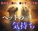 天啓霊視｜ペットの気持ちとメッセージをお伝えします ご存命の子も、虹の橋の子も対応します イメージ1
