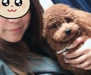 愚痴でも雑談でもOK☺️気軽に話しかけて下さいます 元カウンセラーの沖縄ママとゆるくおしゃべりしませんか？ イメージ4