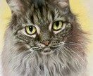 人物やペットなどリアルな色鉛筆画を描きます 色鉛筆の良さを活かして画像より綺麗でかわいい仕上がりにします イメージ3