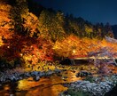 素敵な写真お届けします 必要な写真を可能な限りお送りします！ イメージ1