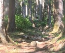 50代の女性のカラダとココロのお悩みお聴きします 一緒に共有・共感・自分の内なる声と繋がる時間に イメージ3