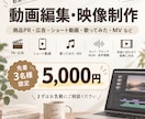 PR・SNS・MVの動画編集を承ります 先着3名様限定｜動画1本5,000円で制作します イメージ4