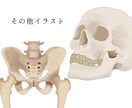 医療従事者のためのイラストを御提供いたします 学会発表や勉強会資料、ポスター作成等で挿絵を必要とされる方へ イメージ3