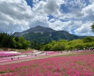 あなたと同じ50代のわたしが仕事の相談に乗ります ワタシは「これ」で ＂しくじり＂ました。 イメージ2