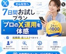 お試し7日間✨X／Twitter運用代行します 顔出し不要・初心者OK✨ 知識＆実績ゼロ、プロにお任せを！ イメージ1