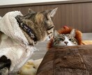 元キャバ嬢が何でも相談にのります 元キャバ嬢現役妊婦があなたの相談に乗ります♪ イメージ1