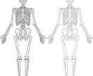理学療法士と作業療法士夫婦が全力サポートいたします PT/ＯＴ両方なので、多彩なジャンルの悩みに対応できます。 イメージ2