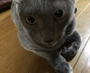 貴方様の恋愛特化占いさせていただきます 少し辛口！片思い、お相手様の気持ち、アドバイス。 イメージ1