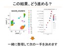 scRNA-seqの結果を対話形式で考えます 一人で悩まず、対話で整理しませんか？ イメージ3