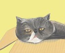 ペットのイラストを描きます 犬・猫・小鳥などあなたのペットをおしゃれに描きます イメージ1