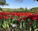 都会の風景や自然の写真、販売します 日常のふとした美しい瞬間を切り取った写真を販売してます！ イメージ5