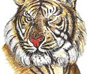 手描きの温かいタッチを心がけています デザイン科卒業で、デッサンを学んでいます イメージ5