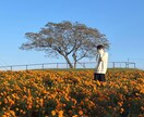 ほんとなんでも聞きます 能天気な僕ですが皆さんの恋愛事情聞きたい！！試して下さい！！ イメージ4
