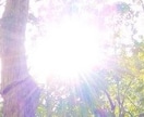 貴方の誕生日をお祝いします 貴方のお誕生日のためのヒーリング画像言葉選びお送りいたします イメージ1