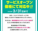 プロデザイナーが格安で資料作成をお手伝いします 現在特別価格でご対応中！3月中まで イメージ2