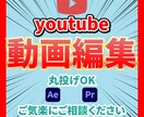 Youtube向け動画の編集致します 「目的と視聴者を意識した編集をご提供します」 イメージ1
