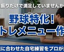 高校野球監督が野球特化のメニューを作成します 素振りだけで満足していませんか？差がつく家トレを提案！ イメージ1