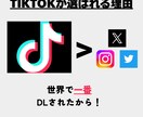 個人・企業様のTikTok運用代行致します TikTokに特化したメンバーが対応！ イメージ4