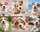 流行りの画像生成代行します 今流行りの美女やペットの画像ををお作りします イメージ7