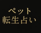 亡きペットの想いをお伝えします 心を込めたスピリチュアル鑑定！ イメージ2