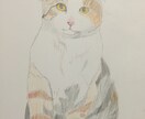なんでも色鉛筆で絵を描きます！ イメージ3