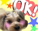 ペットの写真をスタンプにします あなたの大好きなペットといつでも一緒！ イメージ4