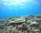 癒し声。1分からでも！どんな話でも受け止めます 人には言えない話や愚痴。匿名だから言えること…私が聞きます。 イメージ2