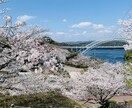 写真の撮影や編集作業をします 明るさ・色味・雰囲気、理想の一枚に近づけます。 イメージ3