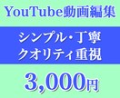 コスパよし！！女性クリエイターが動画編集承ります 予算内でクオリティの高い作品を！ショート動画も可！ イメージ1