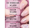 チラシを作成してPDFでお渡しします 印刷(ラクスル)代行可能。ご相談下さい。 イメージ1
