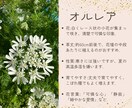 メルカリ出品写真を丁寧に編集＆加工します 背景白抜きや明るさ調整、文字入れなど対応可能。 イメージ2