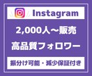 Instagramフォロワー2000人増加させます 【高品質・低価格に自信があります】 イメージ1